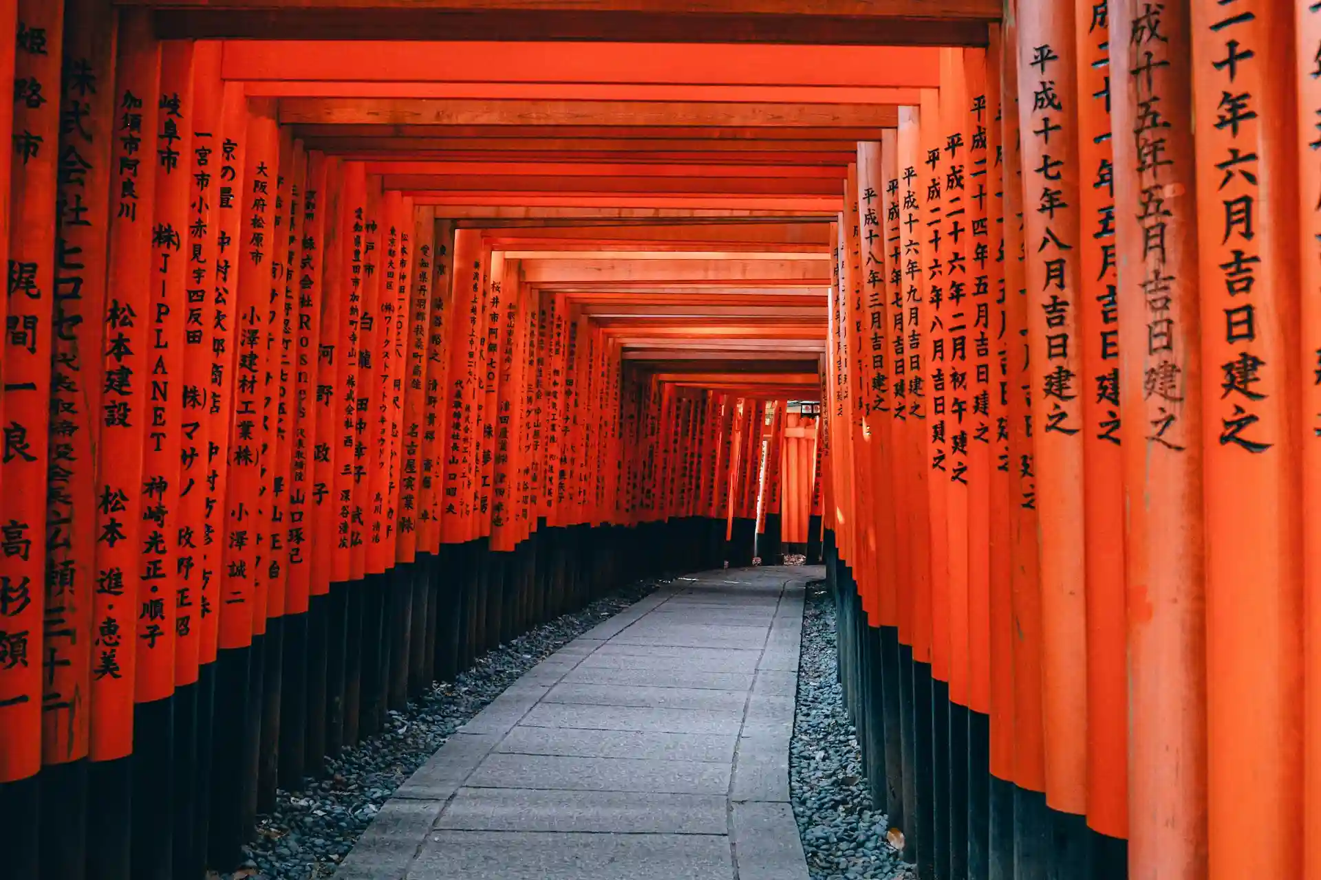 Total Cost to Study in Japan from Nepal