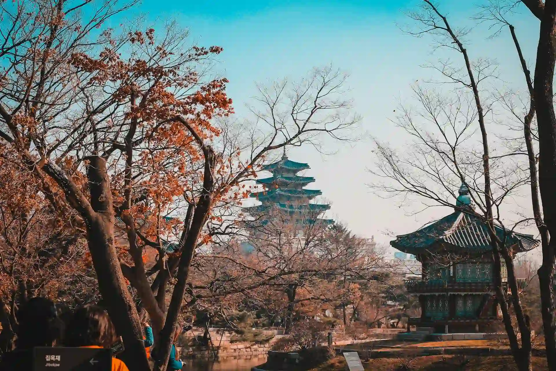 Why to Study in Korea | A Nepali Student's Guide